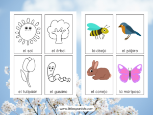 Spring Spanish Flashcards