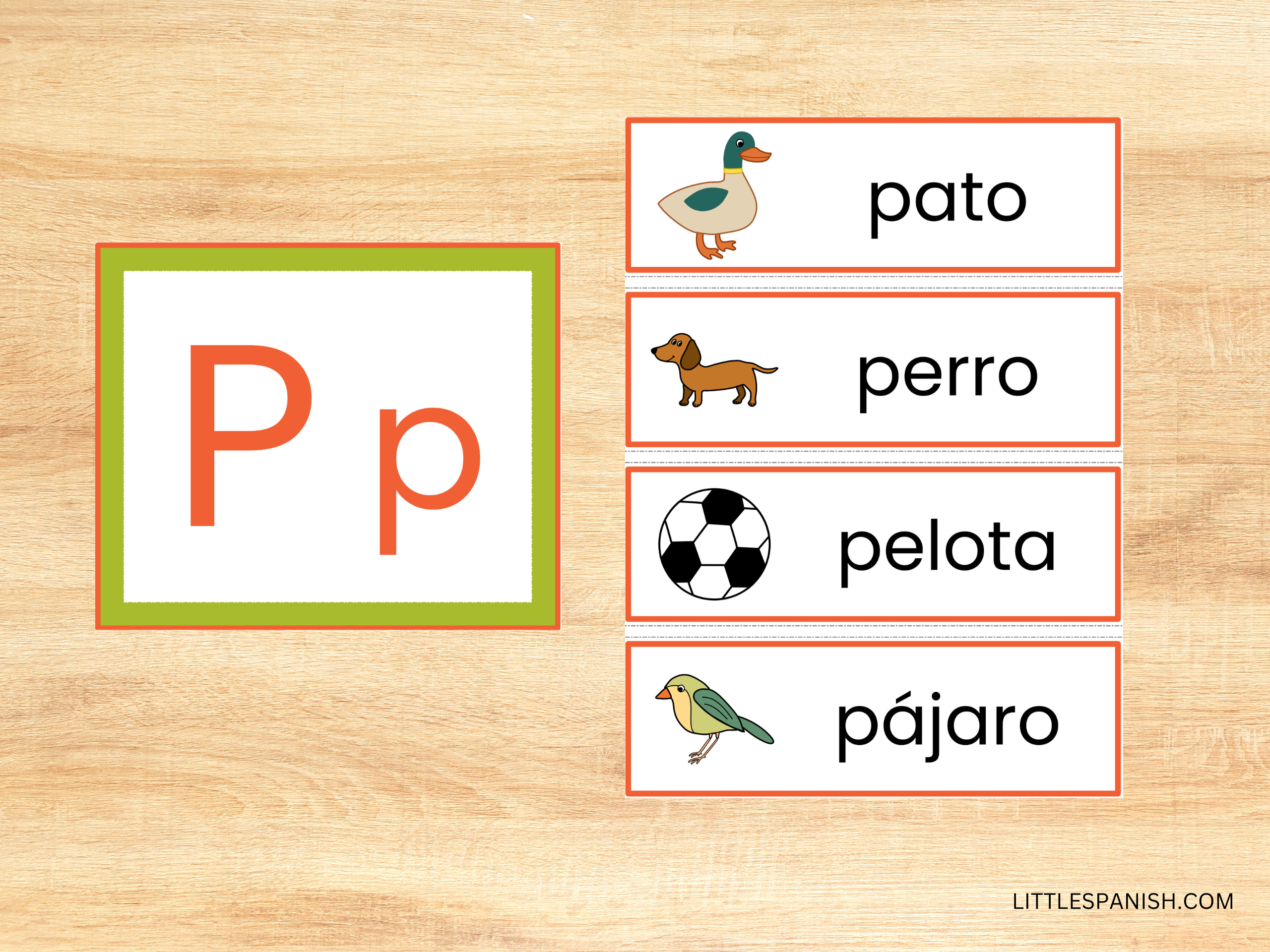 Spanish Alphabet Word Wall Cards